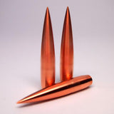 30 CALIBER 198 gr